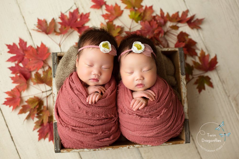 baby girls twins