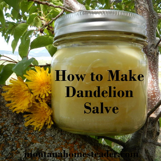 hand cream make dandelion salve montanahomesteader