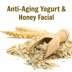 yogurt diy anti aging facial mask makesscentsspaline