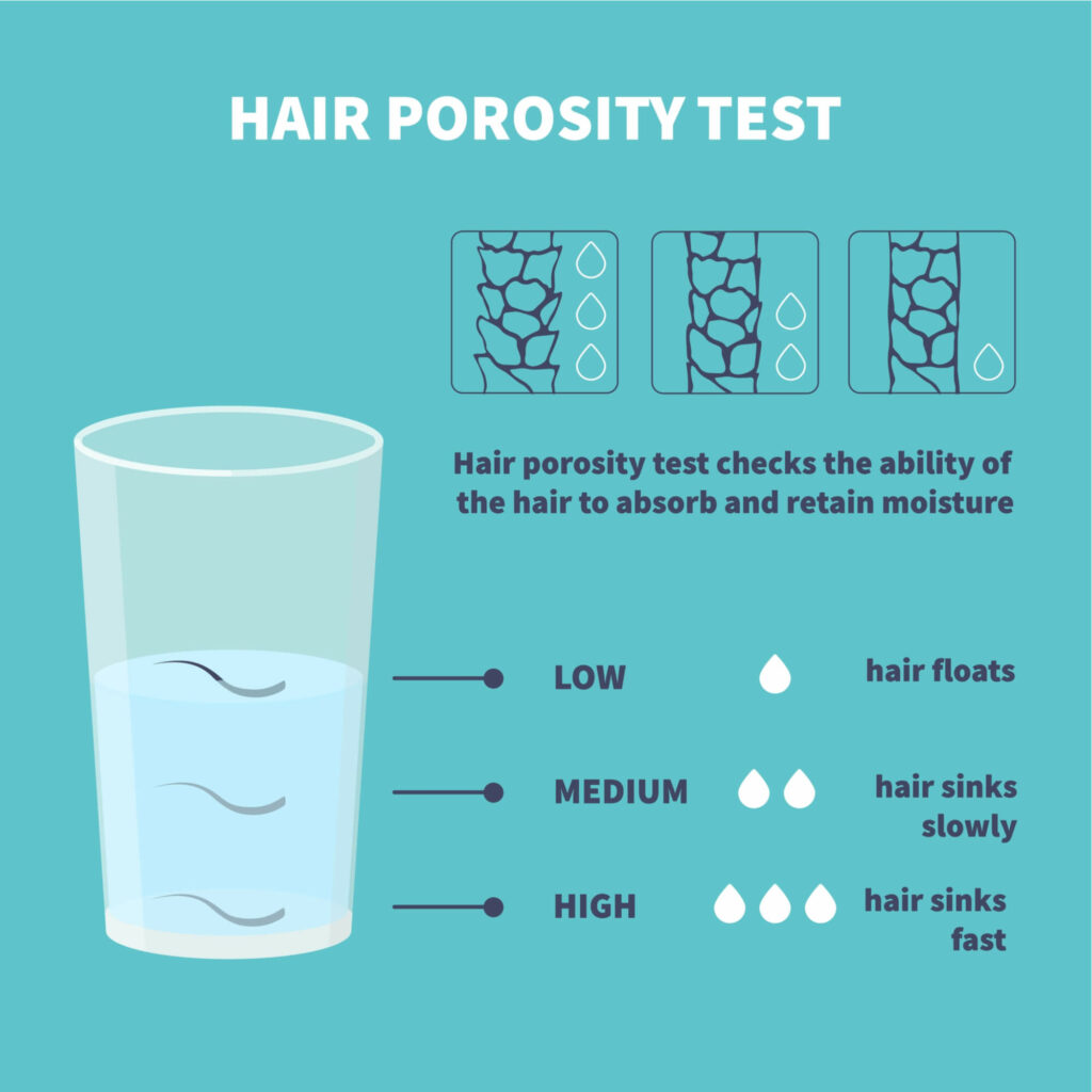 hair porosity test 1 1024x1024 1